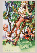 Escalade burlesque au vignoble